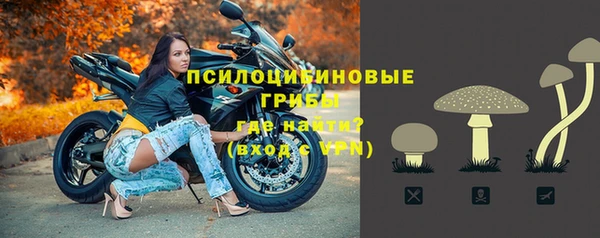 ПСИЛОЦИБИНОВЫЕ ГРИБЫ Бородино